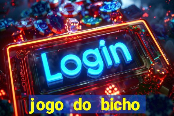 jogo do bicho crash bingo